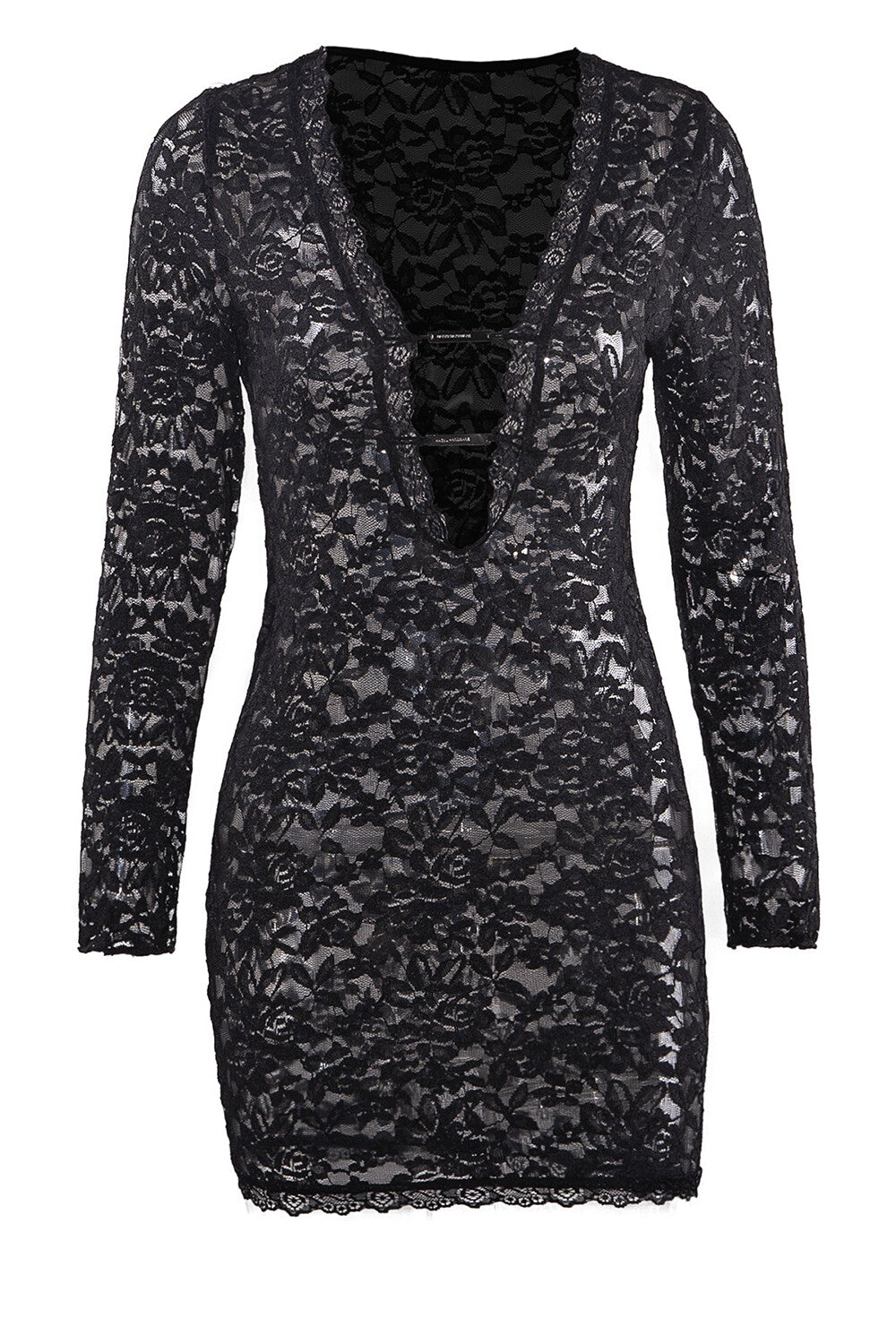 Floral Lace Plunge Neck Long Sleeve See Through Fitted Mini Dresses-Black