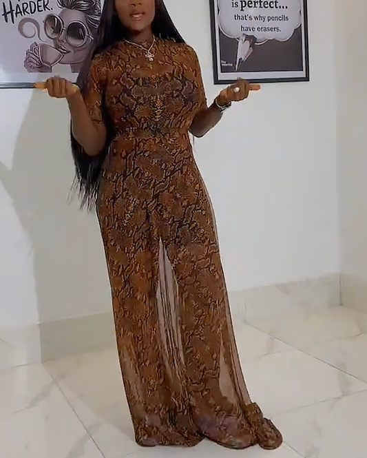 Timeless Sheer Chiffon Elegance Dress